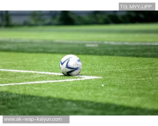 足球精神在绿茵场上的闪耀与人生的启示